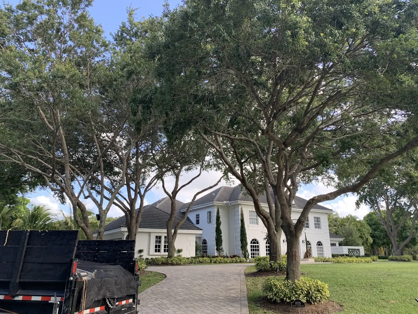 Tree Removal - Professional landscaping service by 3H Landscaping