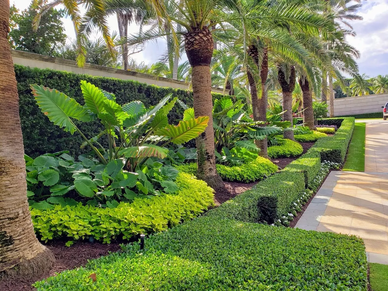 Intricate tropical landscape design with banana plants and colorful foliage