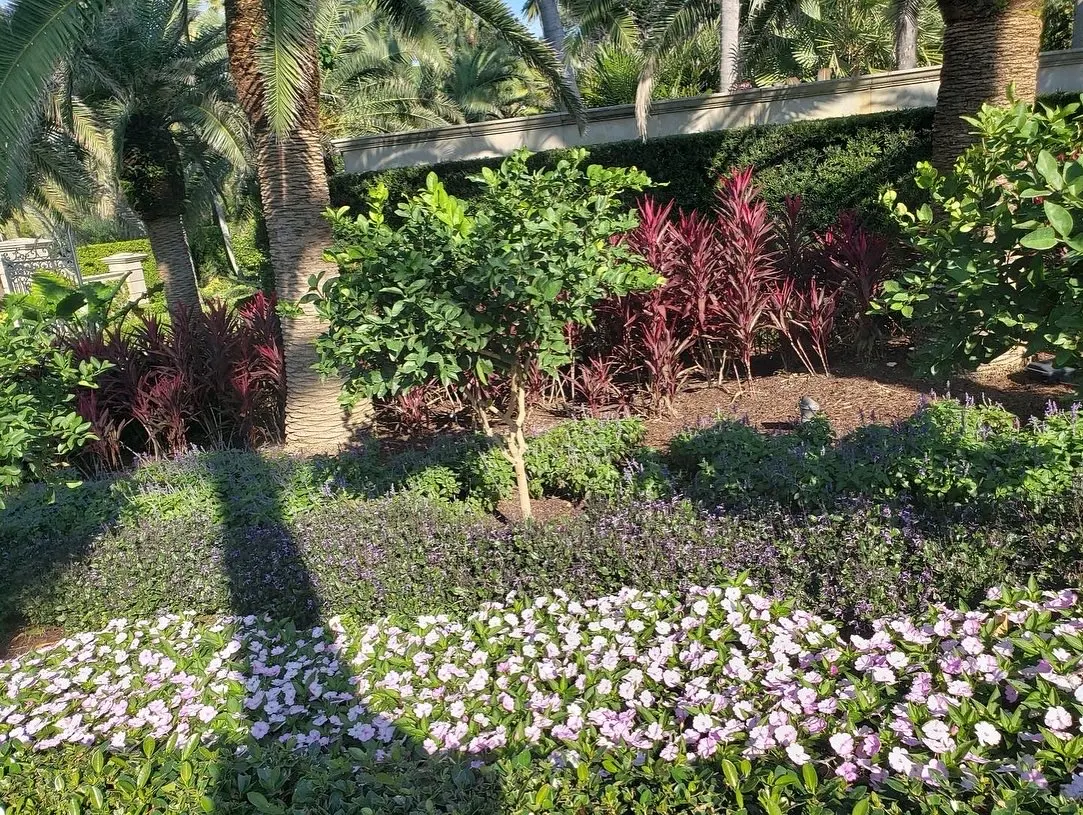 Beautiful flower bed with purple flowering plants and burgundy foliage