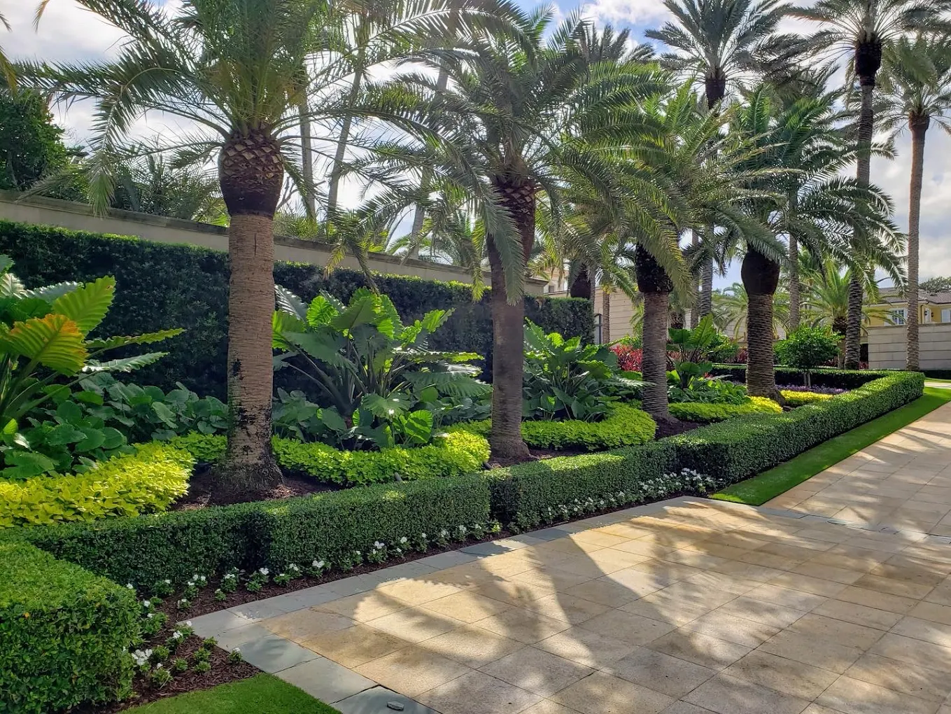 Sophisticated tropical landscaping with layered colorful plantings