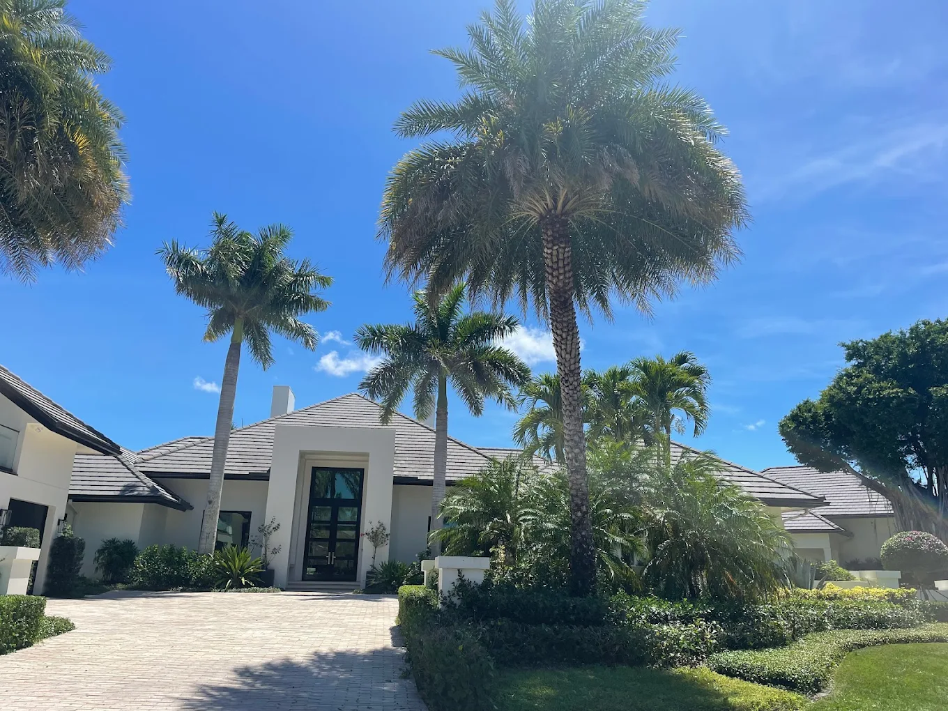 Elegant residential property with mature palm trees and brick pavers
