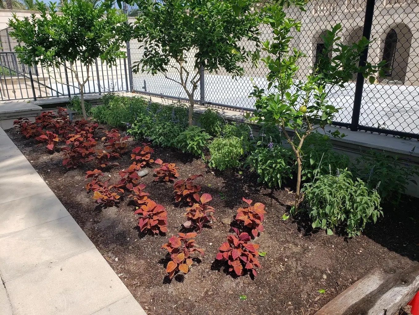 Commercial landscaping with colorful foliage plants