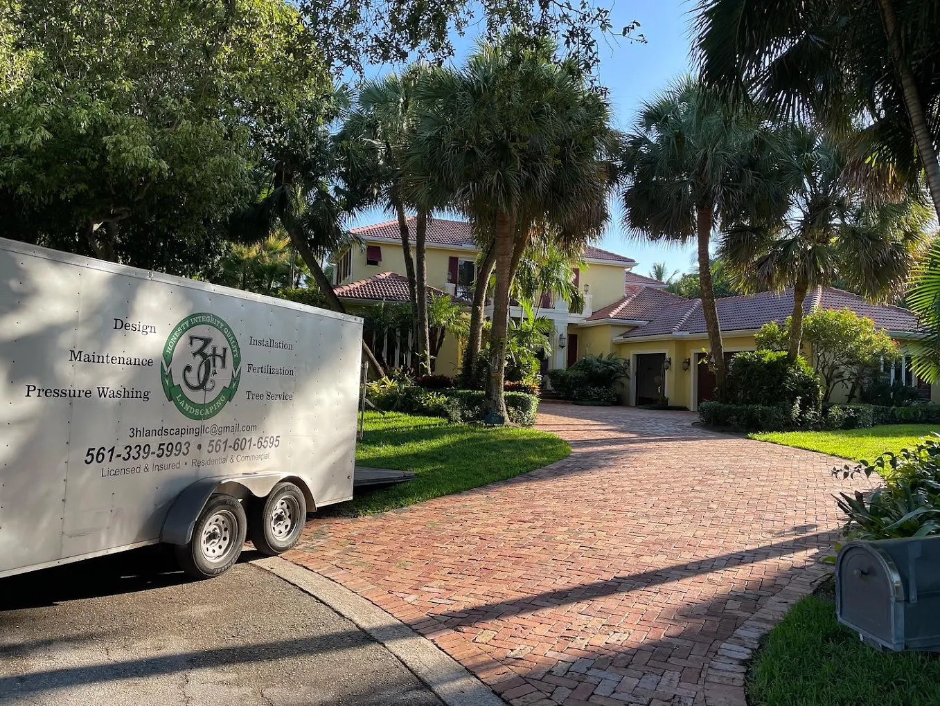 Professional professional tree removal services by 3H Landscaping